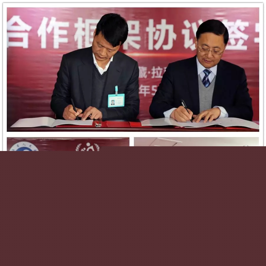 西藏阜康醫(yī)院