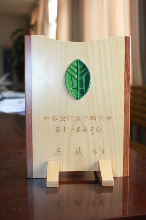 中華全國青年聯(lián)合會第十一屆委員會