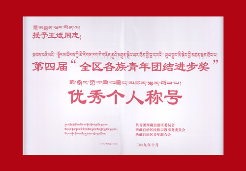 全區(qū)各族青年團結(jié)進步獎