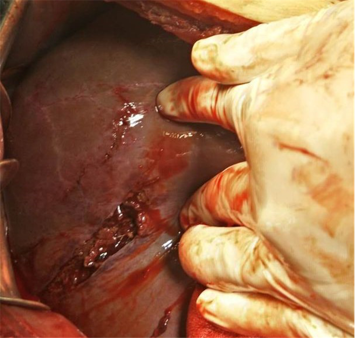 西藏阜康醫(yī)院