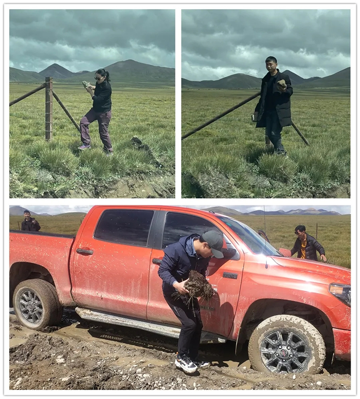 西藏阜康醫(yī)院 西藏阜康醫(yī)院