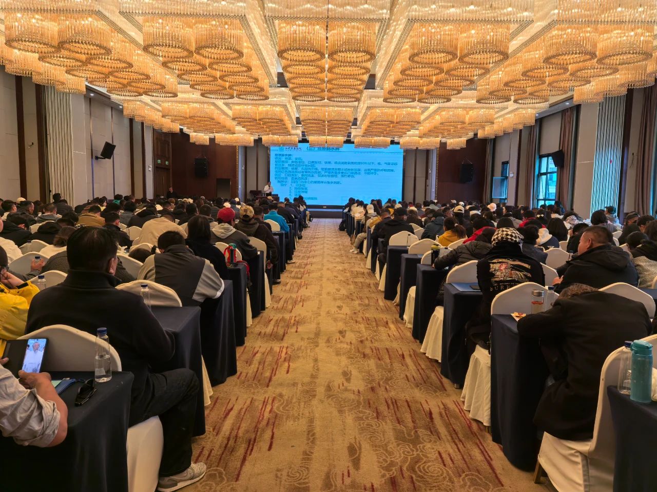 西藏阜康醫(yī)院助力：2025年春季自治區(qū)持證導(dǎo)游崗前培訓(xùn)圓滿收官