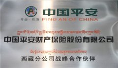中國平安保險西藏分公司向西藏救災(zāi)人員贈送人身意外傷害