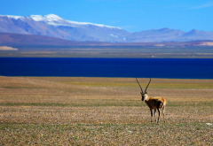 阜康送醫(yī)送藥在行動——走進榮瑪鄉(xiāng)高海拔生態(tài)搬遷點