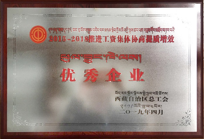 西藏阜康醫(yī)療股份有限公司榮膺“2015—2018推進工資集體協(xié)商提質(zhì)增效優(yōu)秀企業(yè)”！