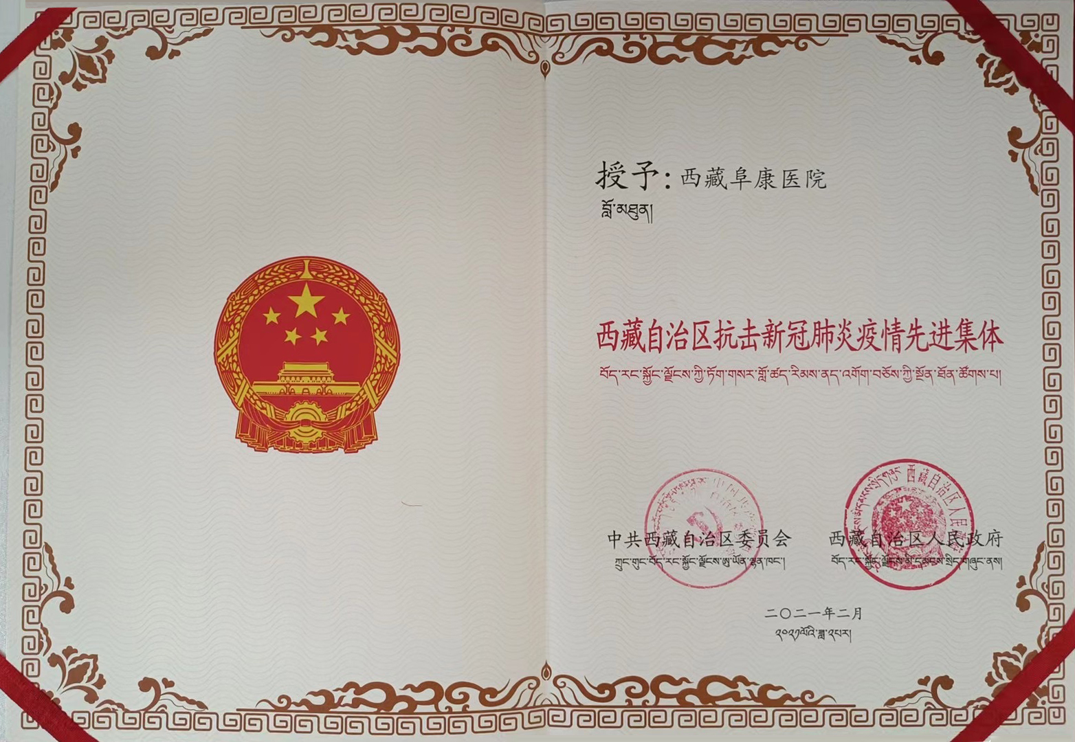 西藏自治區(qū)抗擊新冠肺炎疫情先進集體