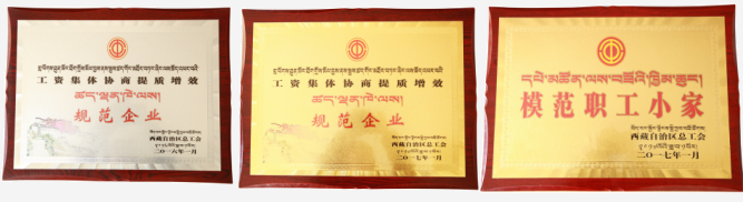 醫(yī)院榮獲“工資集體協(xié)商提質增效規(guī)范企業(yè)”榮譽稱號