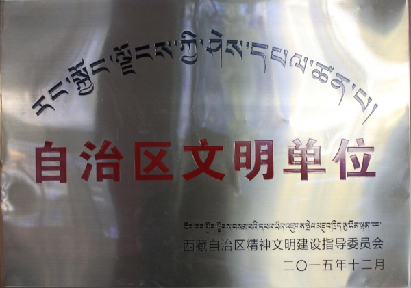 阜康醫(yī)院榮獲“自治區(qū)文明單位”稱號