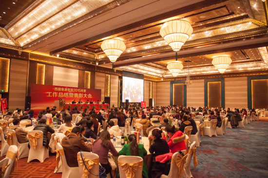 西藏阜康醫(yī)院2015年度總結(jié)暨表彰大會