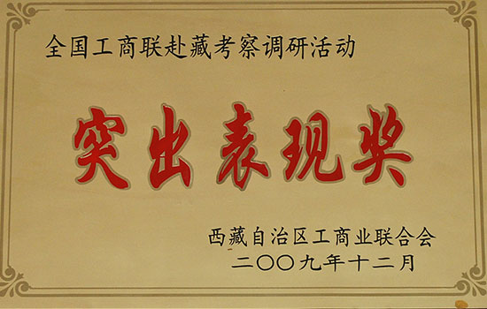 全國工商聯(lián)赴藏考察調(diào)研活動 突出表現(xiàn)獎