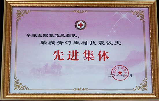 青海玉樹抗震救災(zāi) 先進集體獎
