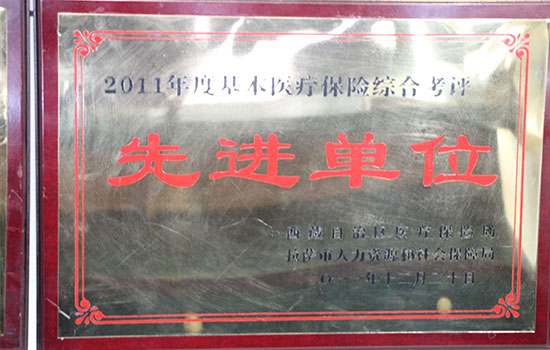 2011年度基本醫(yī)療保險綜合考評先進單位